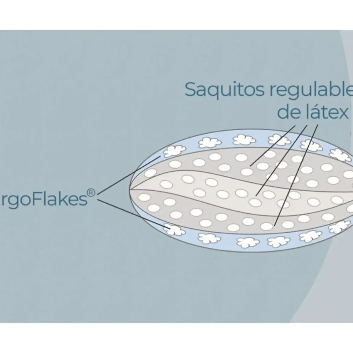 Almohada de Látex 90 cm ERGOLATEX