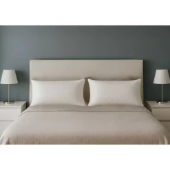 Almohada Viscoelástica Sin Perforar 70 cm CHS