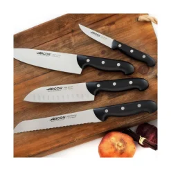 Cuchillo Panero de Cocina con Mango Color Negro Serie Maitre 210 mm ARCOS 151400