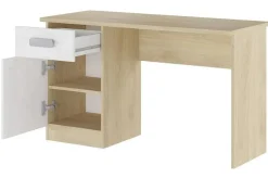 Escritorio con Cajón y Puerta DONALD