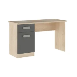 Escritorio con Cajón y Puerta DONALD