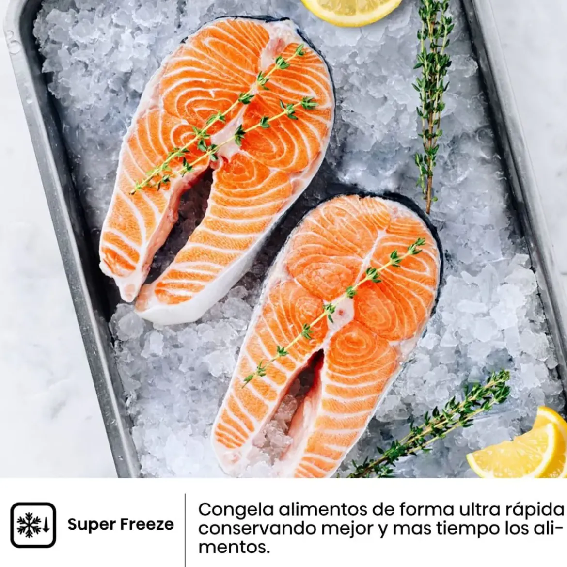 Frigorífico Combi Hisense Inox 336L Clase E RB440N4BCE