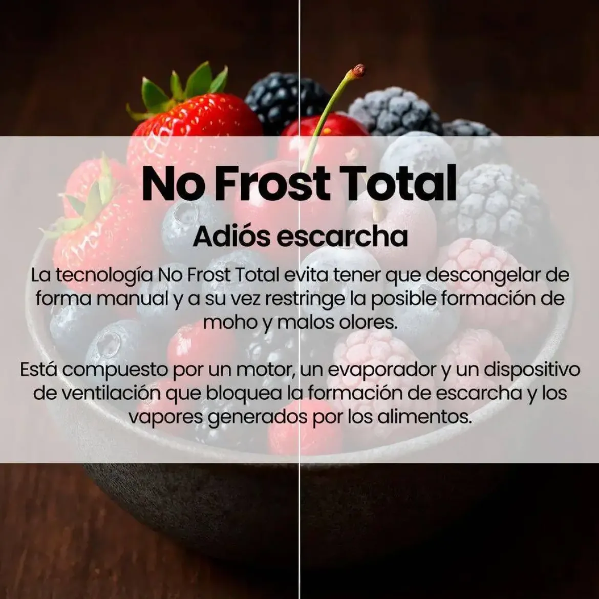 Frigorífico Combi INFINITON Total No Frost 314 L Blanco FGC852C85WDK