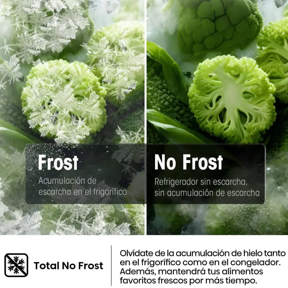 Frigorífico 1 Puerta Hisense No Frost 372 L Blanco RL3K370SEWE1