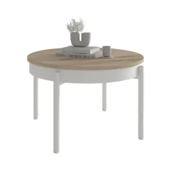 Mesa de Centro Elevable Redonda 72 cm Metal Cilindro M836