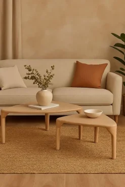 Mesa de Centro Nido Set 2 de Madera de Mango MB-221943
