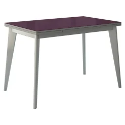 Mesa de Cocina Fija con Tablero de Cristal 131/AL ERGO