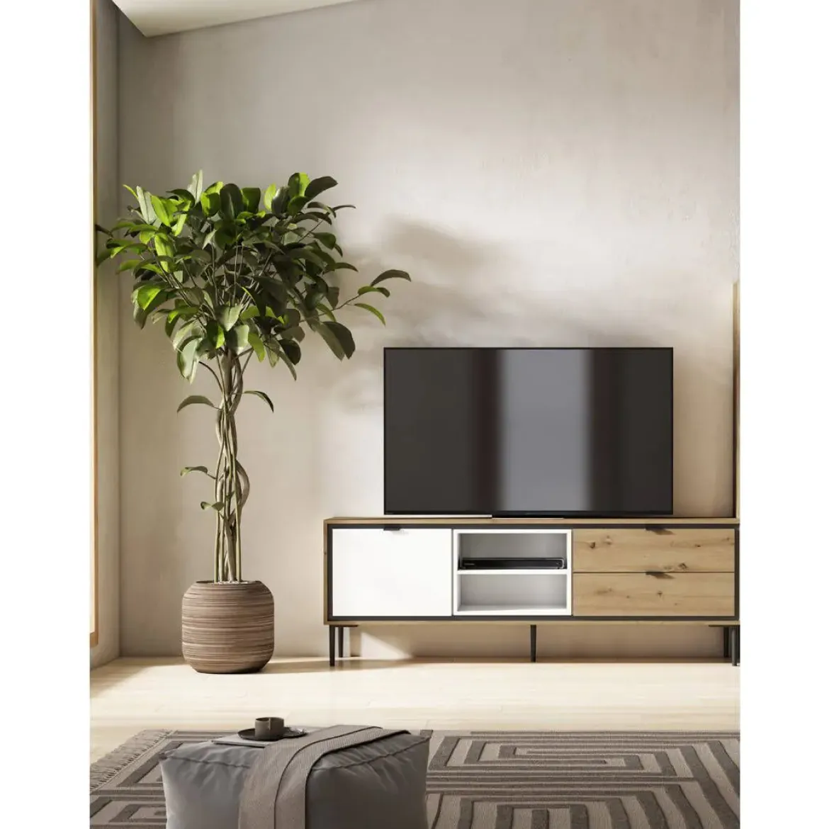 Mueble de TV con Puerta y 2 Cajones Amazona-Blanco K2