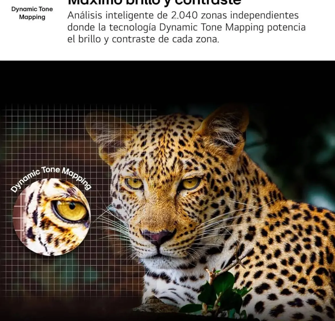 Televisor LG 43" NanoCell 4K Smart TV WebOS 43NANO80A6B Artículo de Exposición
