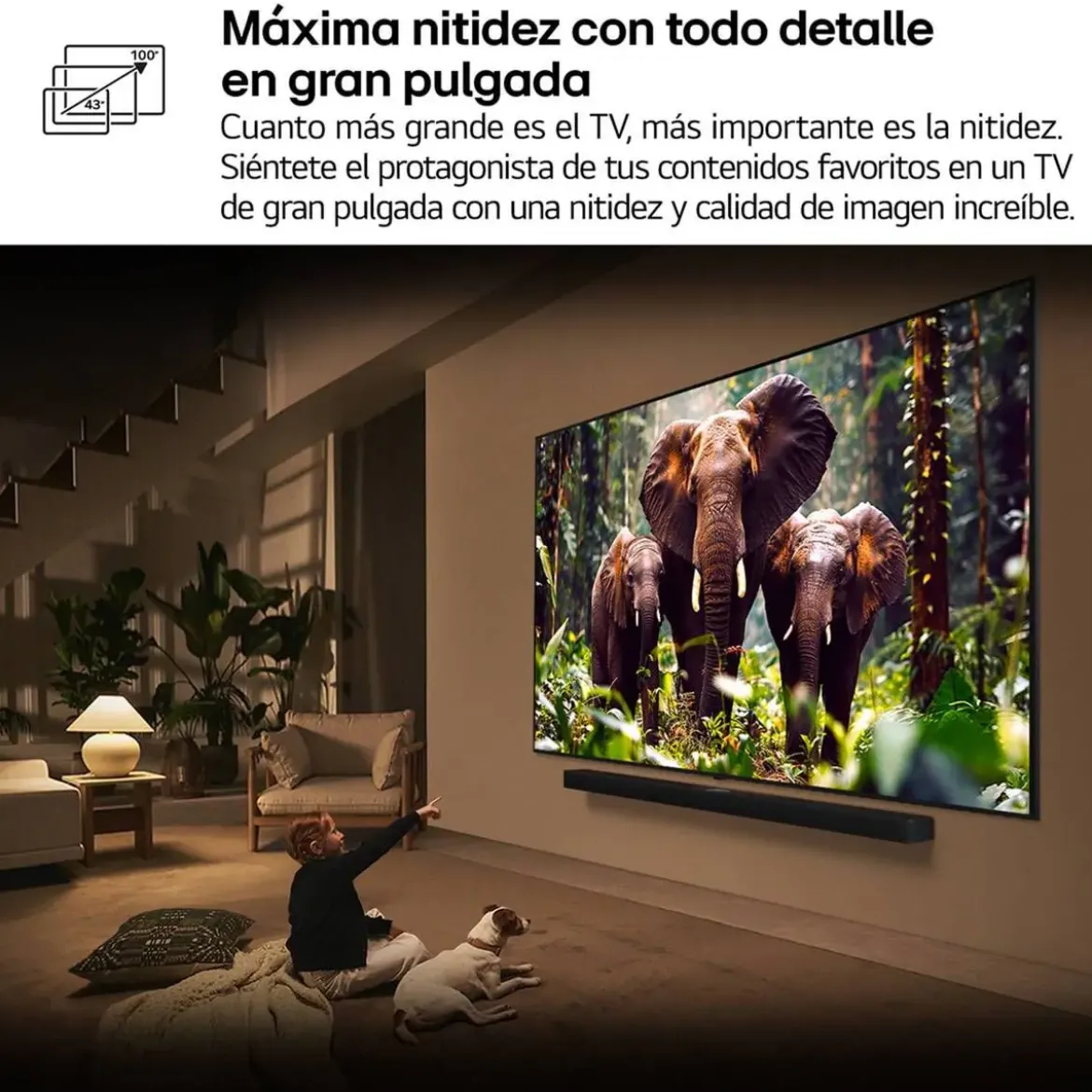 Televisor 75" LG QNED 4K 60Hz Smart TV AI75QNED84A6C