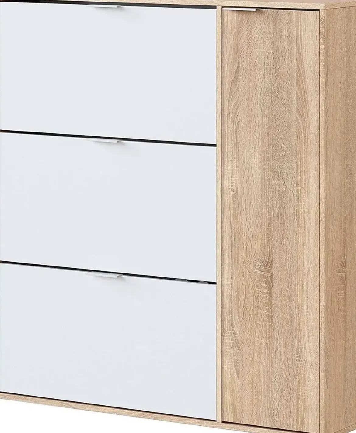 Zapatero de 3 Puertas Abatibles con Armario CLASS 017818F